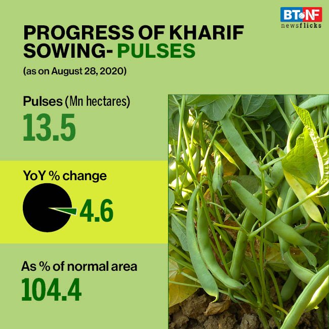 Area sown under kharif crops increases to 108 million hectares