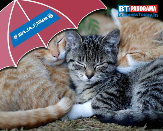 Pet Insurance in India: Some policies in the market today