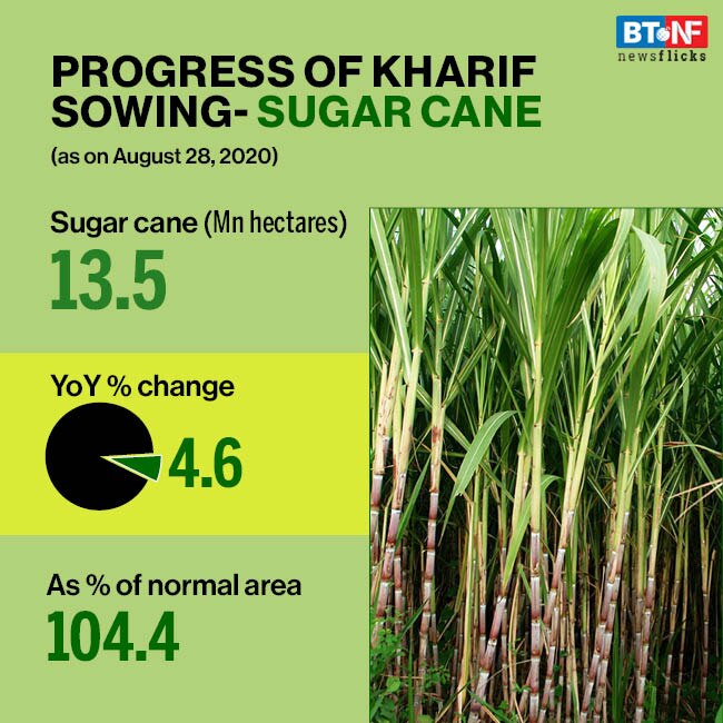 Area sown under kharif crops increases to 108 million hectares