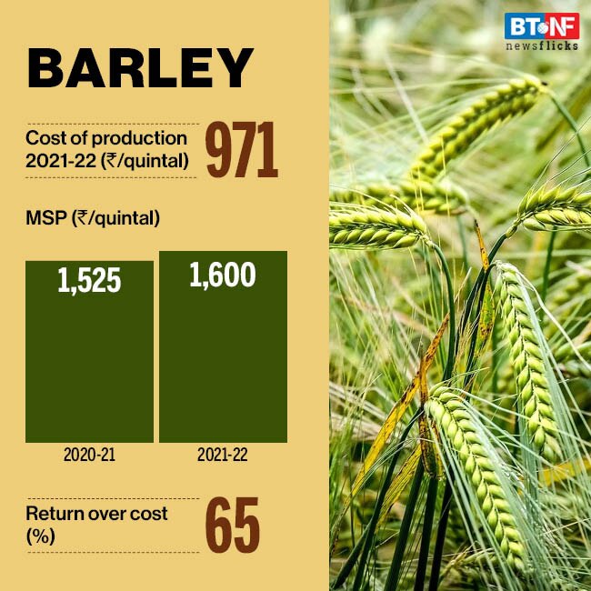 Cabinet approves increase in Minimum Support Prices for Rabi Crops