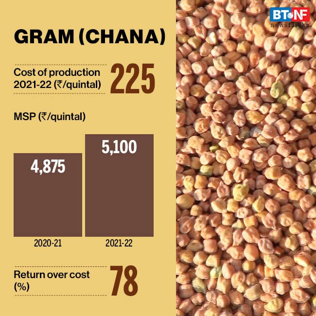 Cabinet approves increase in Minimum Support Prices for Rabi Crops
