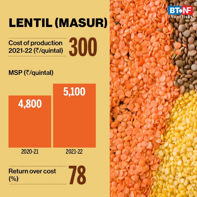 Cabinet approves increase in Minimum Support Prices for Rabi Crops