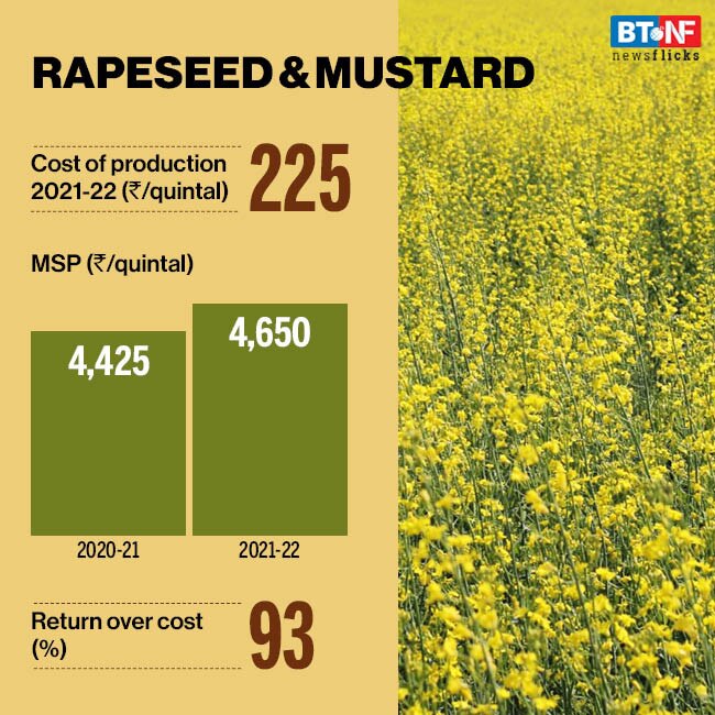 Cabinet approves increase in Minimum Support Prices for Rabi Crops