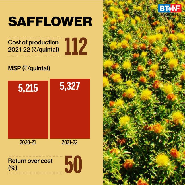 Cabinet approves increase in Minimum Support Prices for Rabi Crops