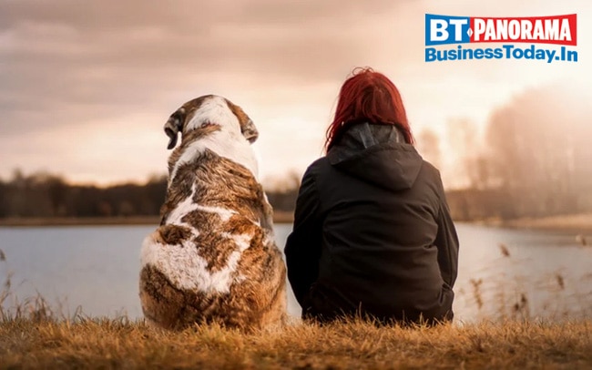 Keanu Reeves to Julia Roberts: Celebs who choose to live with less