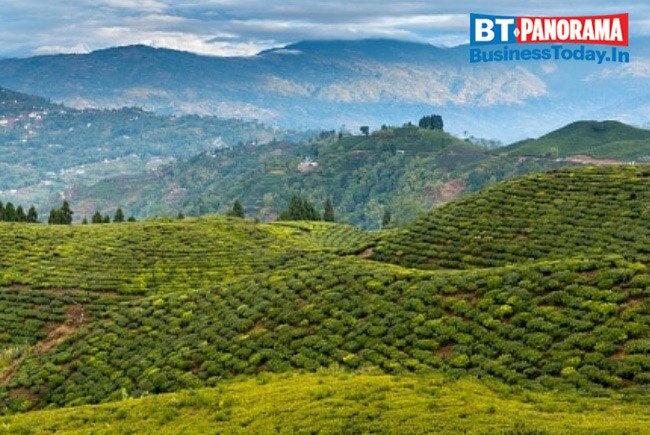 Wish to see snowfall? Head to these destinations in India 