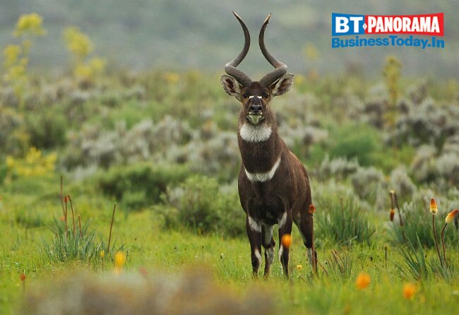 Countries you can visit with an Indian passport