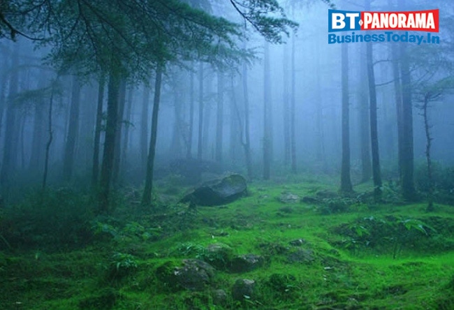 Wish to see snowfall? Head to these destinations in India 