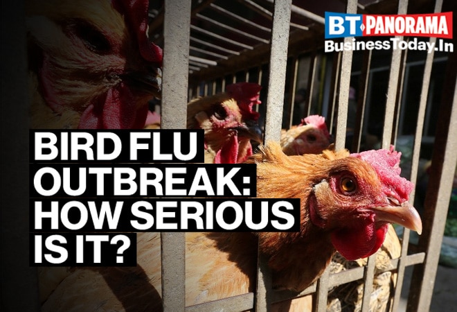 How severe is the Bird flu outbreak and can we deal with it?
