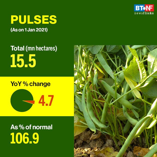 Rabi acreage increases 2.9% YoY; coarse cereals decline 