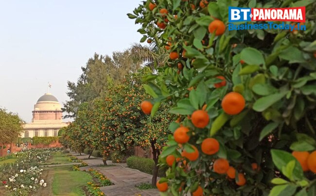 Rashtrapati Bhavan opens its Mughal Gardens to the public from Feb 13