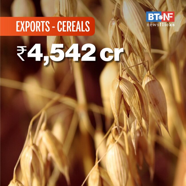 Agri exports up 18.5% in Apr 20-Feb 21 