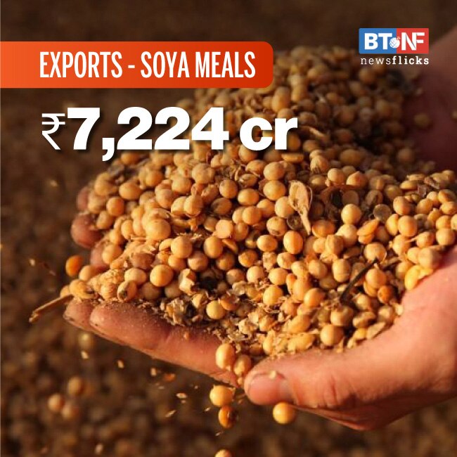 Agri exports up 18.5% in Apr 20-Feb 21 
