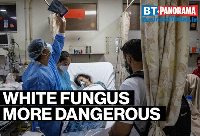 Why is White Fungus more dangerous than Black Fungus