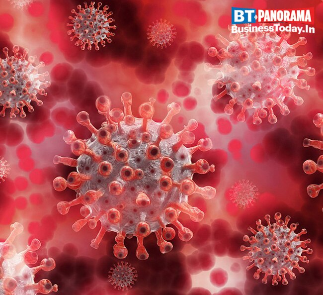 How is virus mutation classified?