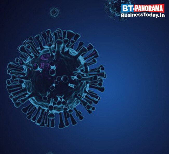 What is WHO doing about virus variants?