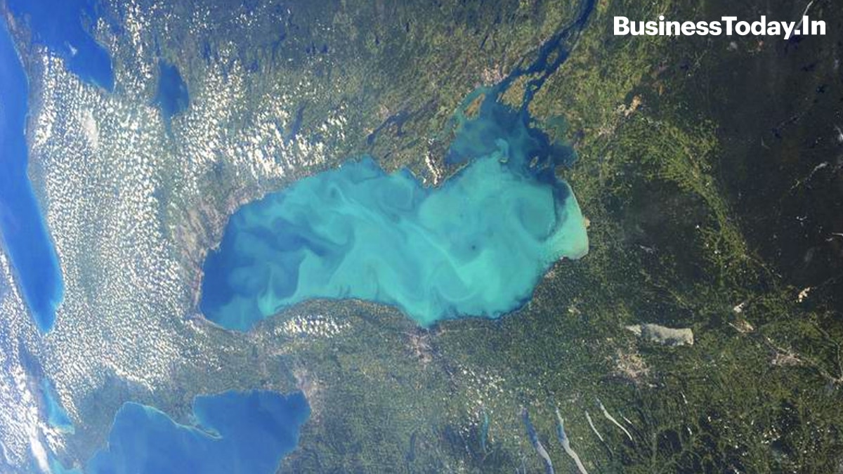 Late summer plankton blooms across much of Lake Ontario, one of North America's Great Lakes, in a photgraph taken from the International Space Station.