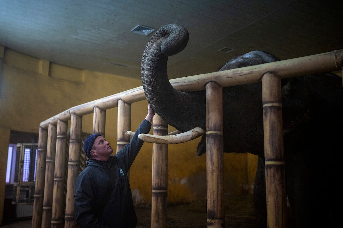 Animal keeper Kirilo Trantin comforts an elephant at the Kiev Zoo in Kyiv, Ukraine.