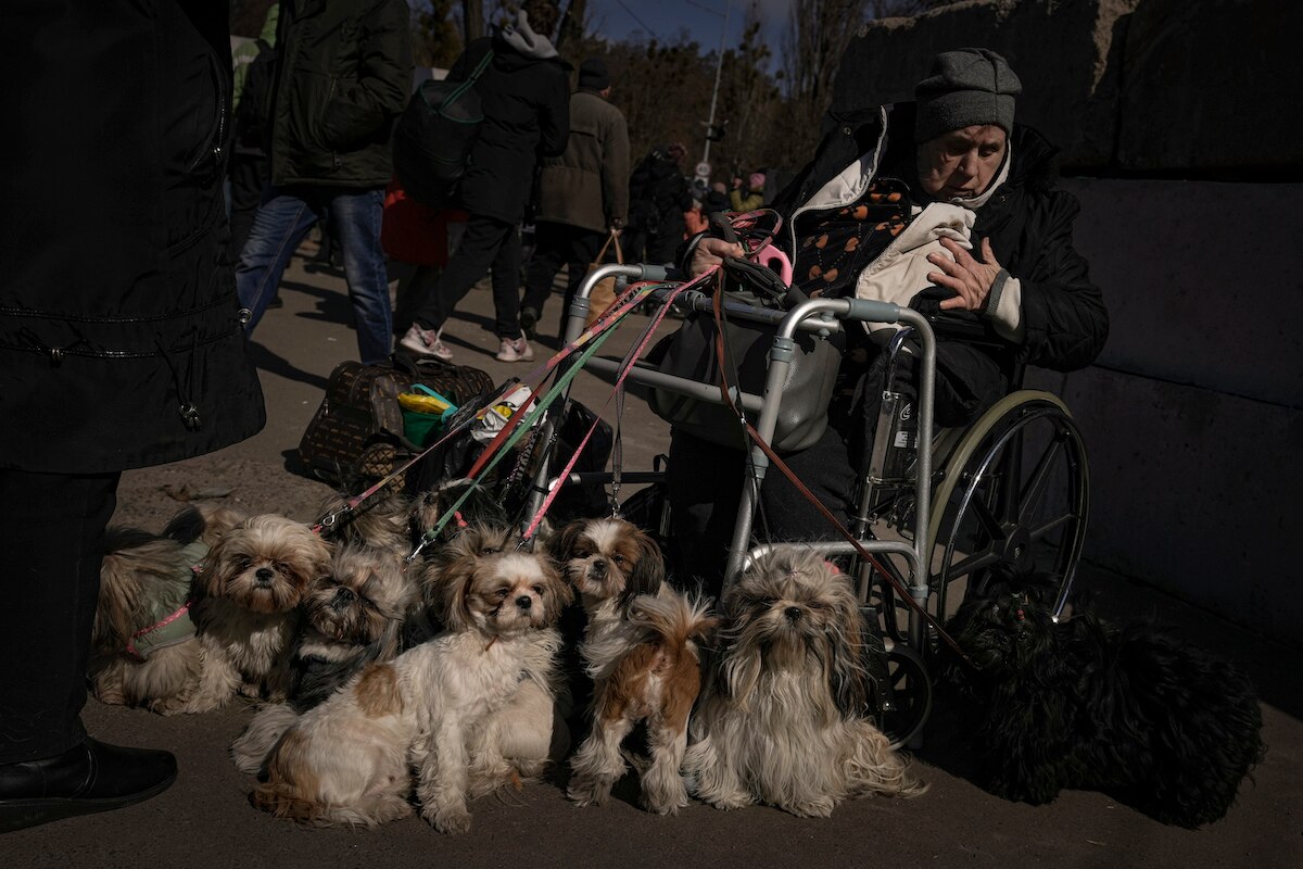 Antonina, 84, sits in a wheelchair after being evacuated with her 12 dogs from Irpin, at a triage point in Kyiv, Ukraine.