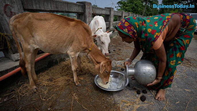 Authorities in India and Bangladesh are struggling to deliver food and drinking water to hundreds of thousands of people evacuated from their homes in days of flooding that have submerged wide swaths of the countries. The floods triggered by monsoon rains Authorities in India and Bangladesh are struggling to deliver food and drinking water to hundreds of thousands of people evacuated from their homes in days of flooding that have submerged wide swaths of the countries. The floods triggered by monsoon rains