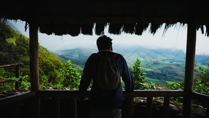 Munnar Spotlight Munnar Spotlight