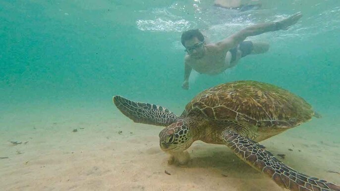 Nature's Thrill Nature's Thrill