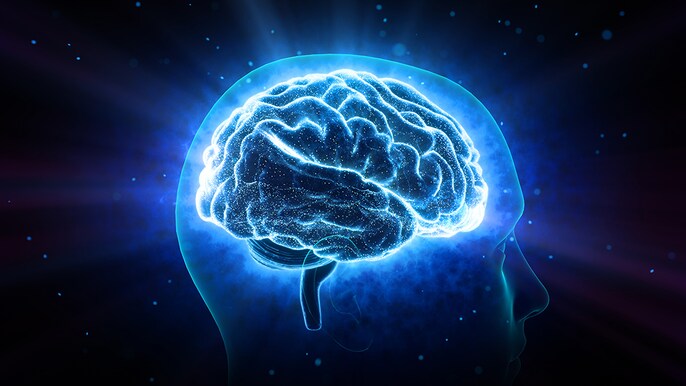 Brain Hacking Brain Hacking