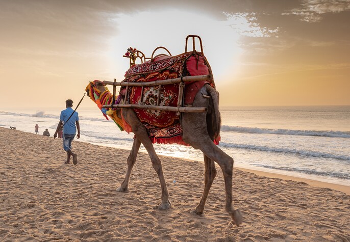 Devotee Drift Devotee Drift