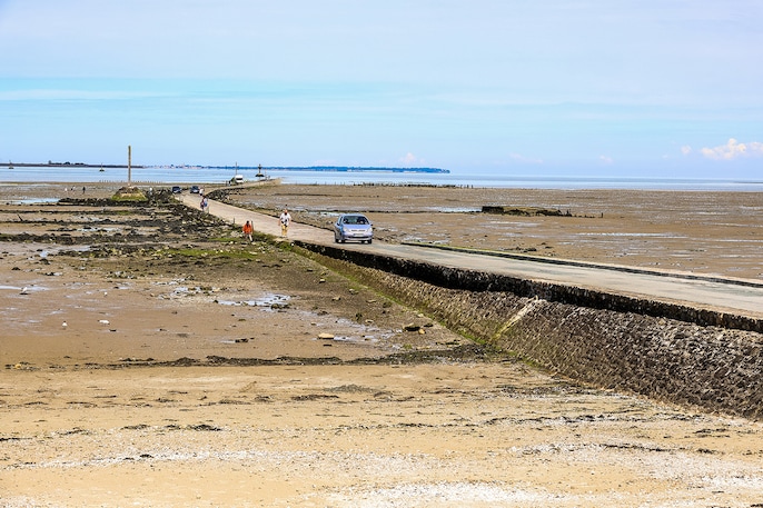 Tidal Trap Tidal Trap