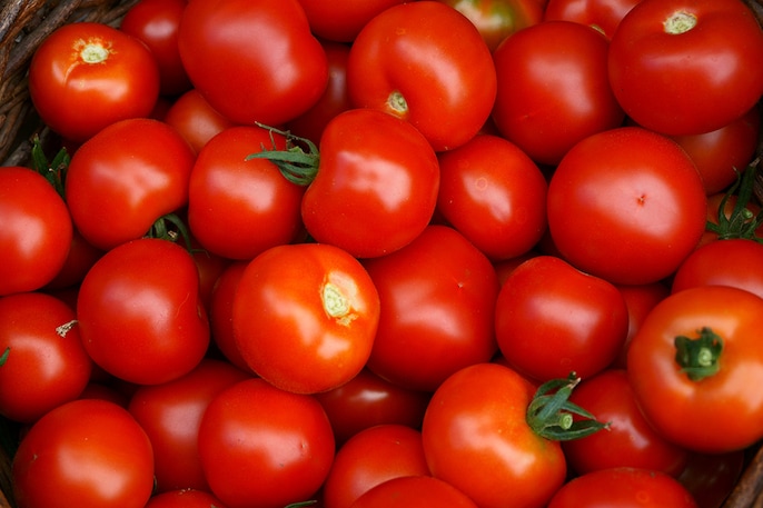 Lycopene Boost Lycopene Boost
