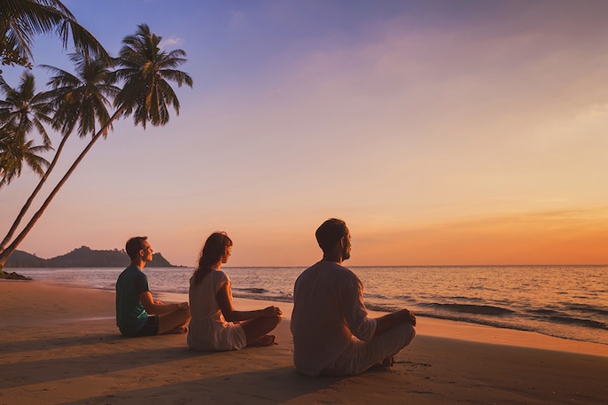 Wellness Oasis Wellness Oasis