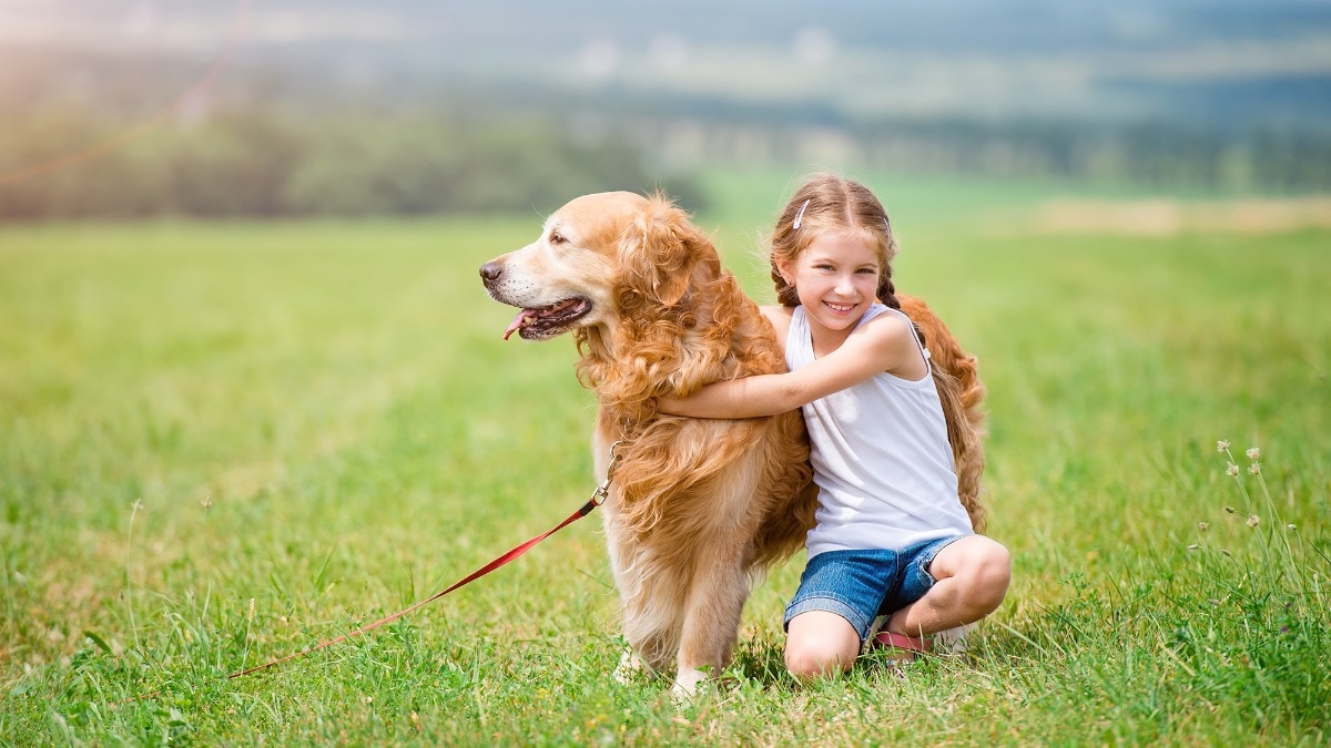 Paws, play, and patience — the best dogs to grow up with your children