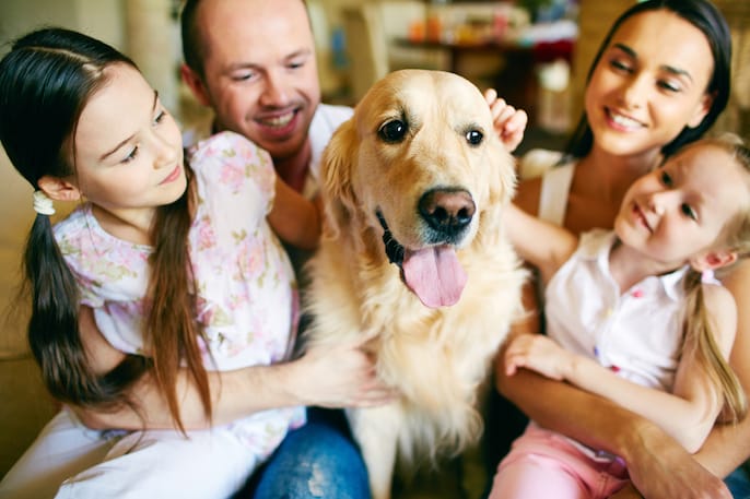 Family Bond Family Bond