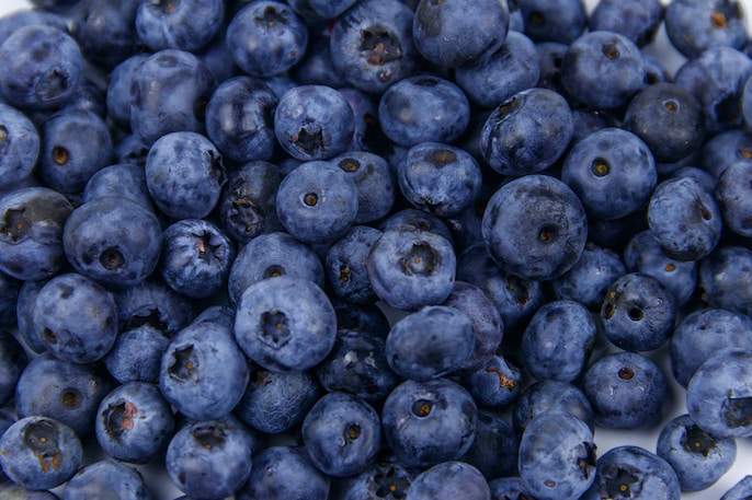 Berry Brainwave Berry Brainwave