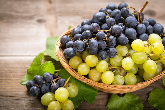 Grape Genius Grape Genius