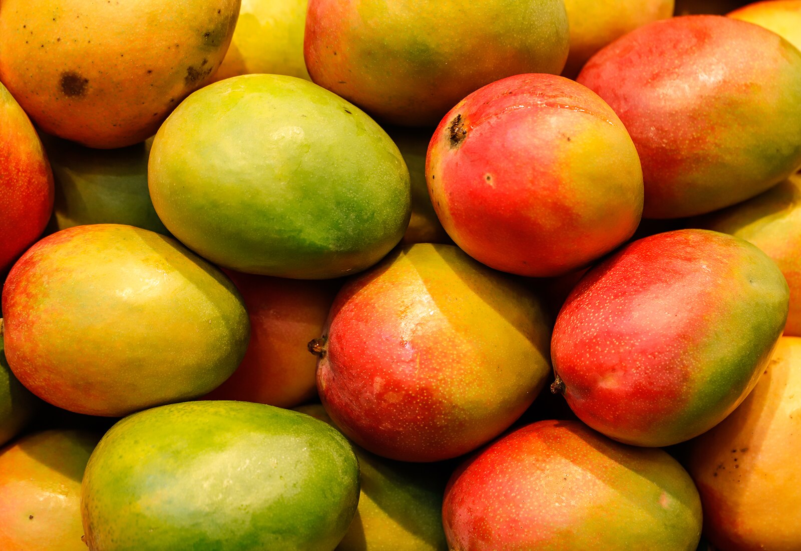 Mango Magic Mango Magic