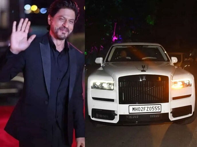 Rolling Royalty Rolling Royalty