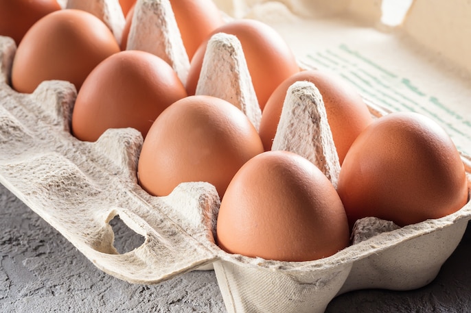 Egg Equation Egg Equation