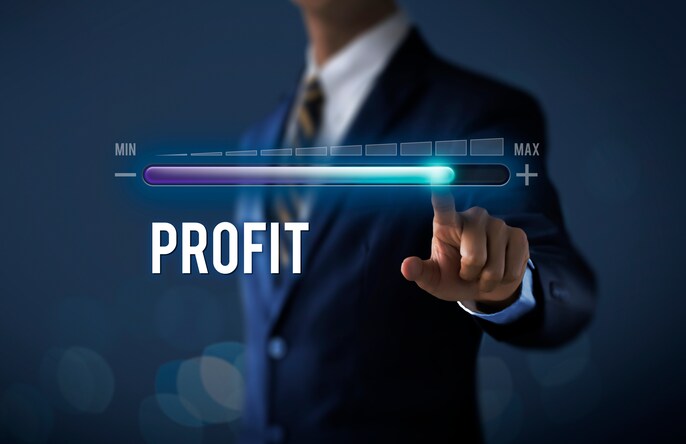 Profit Paradox Profit Paradox