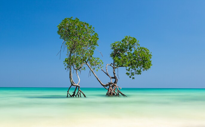 Island Stillness Island Stillness