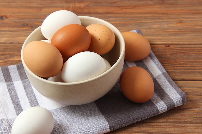 Egg Power Egg Power