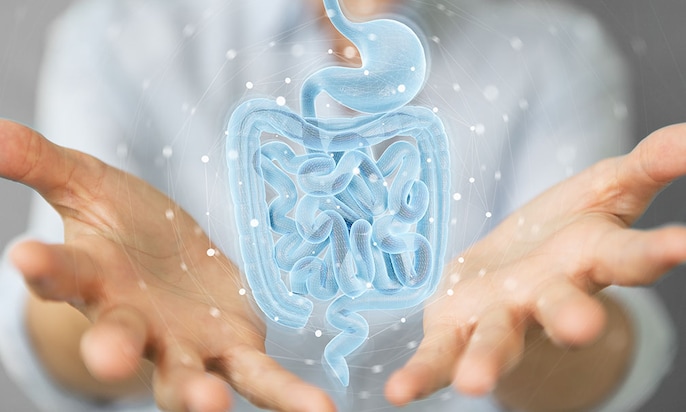Gut Guardian Gut Guardian