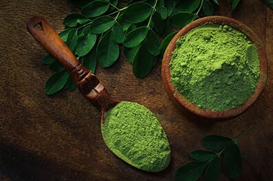 Moringa Muscle Moringa Muscle