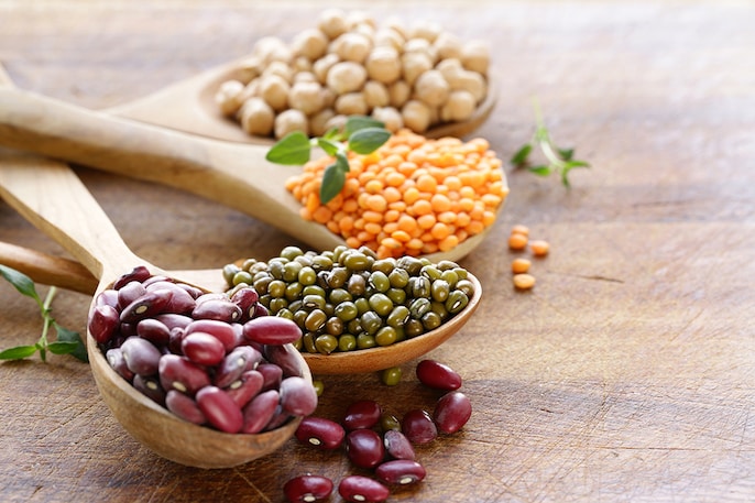 Plant Protein Plant Protein