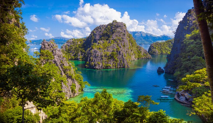 Palawan Wild Palawan Wild