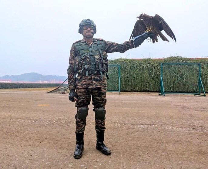 Feathered Surveillance Feathered Surveillance