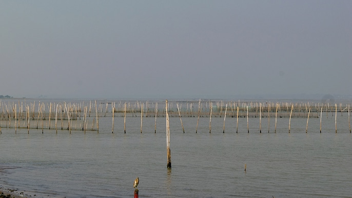 Salinity Gamble Salinity Gamble