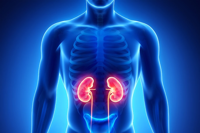 Kidney Squeeze Kidney Squeeze