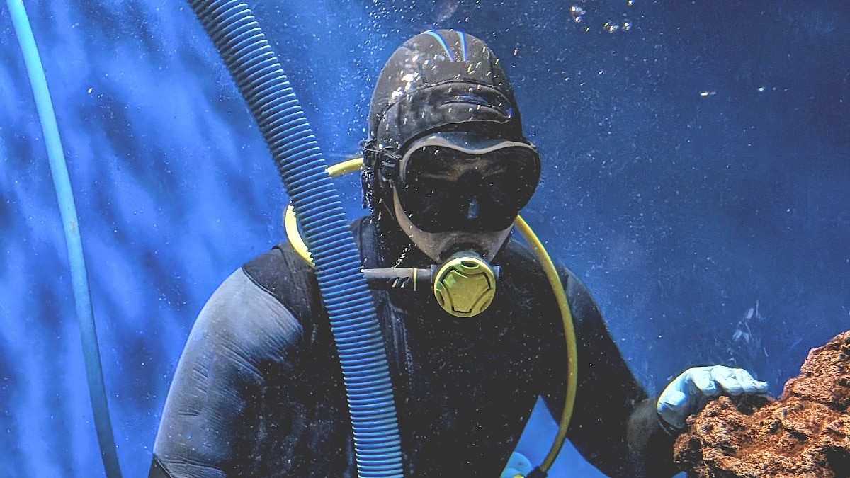 Think Your Job Is Odd? These Careers Rewrite “Unusual”