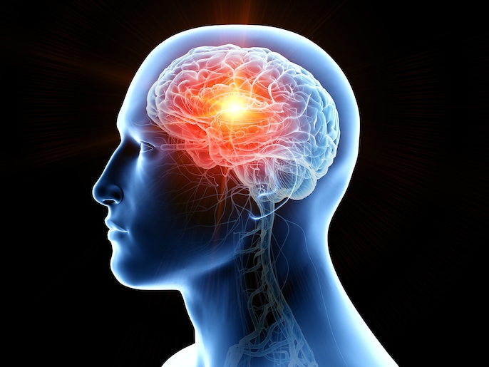 Brain Signal Brain Signal